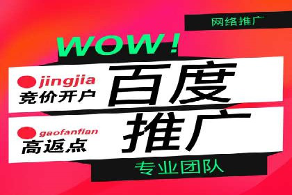 竞价托管服务案例解析