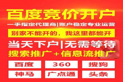 SEM托管公司案例分享：提升广告投放效果的关键步骤